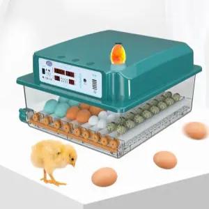 메추리 부화기 자동 220V 계란 달걀 병아리 닭키우기 인큐베이터 양계 기계