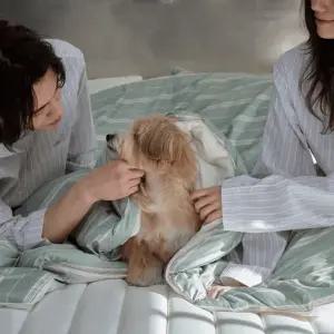 필굿 알러지케어 컴포트웰 플러스 침구세트 모스그린 패턴 SS QK SK)