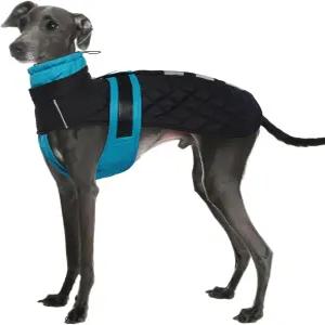 IECOII 그레이하운드 코트 이탈리아 방수견 겨울 하네스 홀이 있는 소형 개 플리스 점퍼 휘펫 스노우 재킷