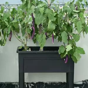 대형 화분 플랜트박스 스 화단 옥상 야외 시멘트