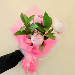 [꽃같은하루] 사라 작약 3송이 루스커스 2줄기 혼합 생화 꽃다발 택배 꽃배달싼곳