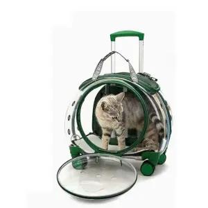 강아지이동가방 캐리어 운반 동물 모빌 가방 그린 강아지