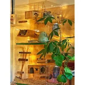 슈가글라이더 사육장 피그미다람쥐 하우스 케이지 아크릴