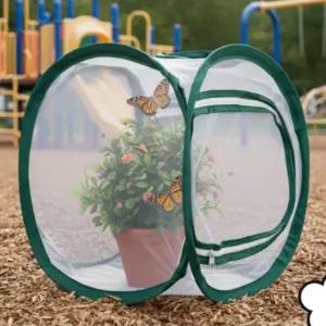 30x30 메쉬 투명창 원터치 팝업 텐트형 곤충 관찰망 사육 채집 케이지 도구 채집통 박스 잠자리통