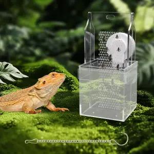 카멜레온 먹이 그릇 벌레가 오르고 이동할 수 있는 격자판이 반투명 아크릴 수염 용 먹이통 도마뱀