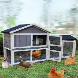 가축 사육 우리 조립식 새집 양계장 닭집 철망 펜스 울타리 야외 시골 그물 케이지 산란장