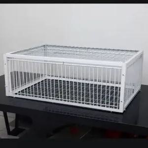 야생 조류 포획틀 철제 잡기 조류케이지 까치 사냥 케이지 새장 포획 덫 꿩 비둘기 포획망