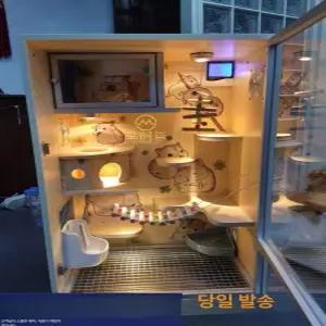 대형 친칠라 케이지 키우기 햄스터 은신처 기니피그 실내 다람쥐 하늘다람쥐 앵무새 슈가글라이