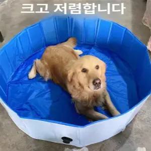 접이식 수영장 고양이 강아지 목욕 욕조 대형견 반려견