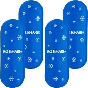 쿨러 여행 케이스용 스팩 TSA 승인 대부분의 단열 가방에 한 미니 4