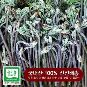 유기농 생고사리 나물 10kg 국내산 무농약 특상품 취송농원
