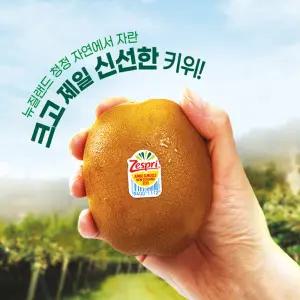 제스프리 썬골드키위 대왕점보 선물세트 3.1kg 20입내외(개당 155g내외) 프리미엄과일