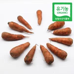 2025-2026시즌 제주 친환경인증 유기농 흙당근 햇당근 중 5kg