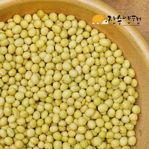 콩나물콩700g 국산 2025년 콩나물 키우기