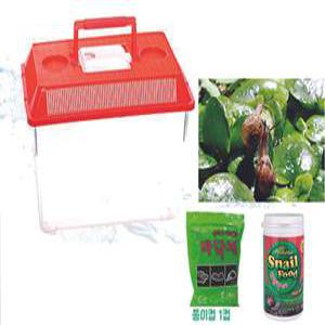 명주 달팽이 키우기 세트