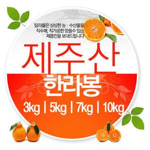 농장직 고당도 제주도 한라봉 3kg 5kg 꼬마한라봉 선물세트