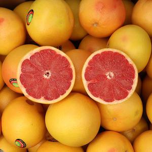 실속못난이 이스라엘 레드자몽 10kg (사이즈랜덤)