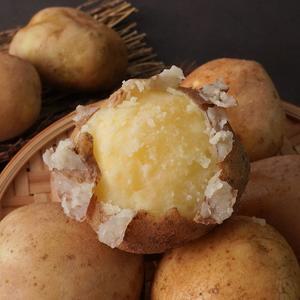 강원도 햇 수미감자 대 10kg