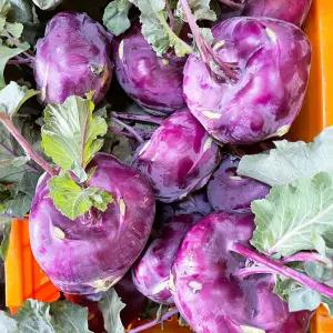 국내산 제주 산지 콜라비 못난이 5kg 10kg