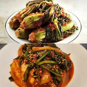 갤러리아 [3대째 손맛] 여수 돌산 갓김치 1kg + 열무김치 1kg