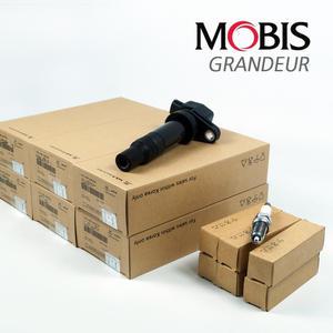 점화플러그 코일 1대분 세트 그랜저TG LPG/LPI (2006년11월~) 18842-08061 27301-3E400