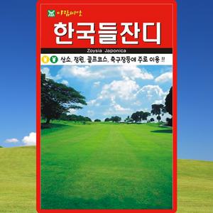 아람종묘 한국들잔디 씨앗 1만립 정원 산소 골프장 잔디씨 종자