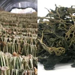 국내산 유기농 건나물 2종세트 (시래기+곤드레)