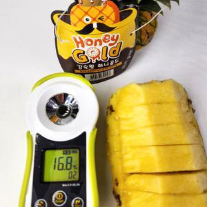 고당도 감숙왕 허니골드 황금 파인애플 1입, 2입, 3입(개당 1.2kg내외)