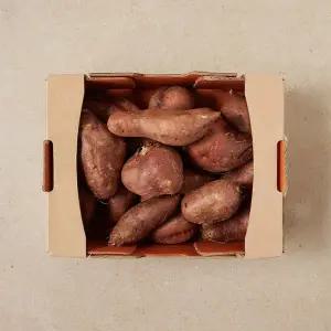 호박 고구마 (2kg)