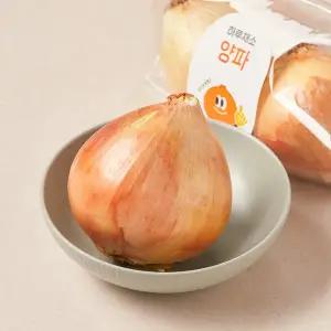 하루채소 햇양파 240g
