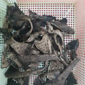 청림 국내산 건조 능이버섯 30g