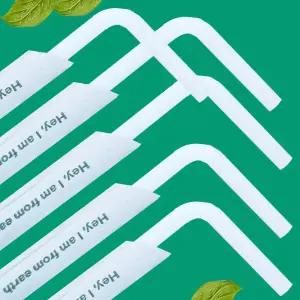 생분해 옥수수 전분 자바라 주름 빨대 100개 PLA 23cm 6파이 개발포장 친환경 빨대