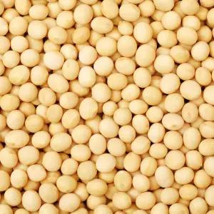 백태 4.5kg 수입콩(미국산) 수입산 원적외선 빛살균 살균한콩 백태 메주콩/콩국수콩/두부콩 4.5kg(1개) 1