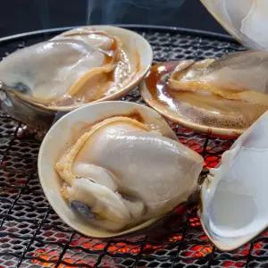 조개탕 조개구이용 백합조개 5kg 100미 내외