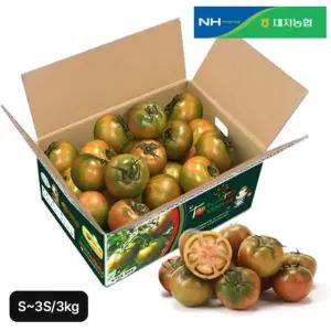 대저농협 26년 햇 대저 토마토 3kg(S~3S사이즈)