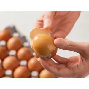 난각번호 1번 중란 일상미당 쫀득 구운란 60구(30구*2세트)