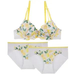 [롯데백화점]예스 몰드브라1매+팬티2매 여성세트 YSWBY501YSWPY502