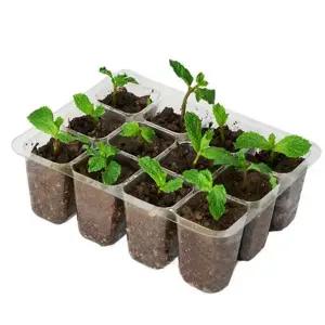 다회용 투명 삽목 트레이 원예용 플라스틱 모종 트레이 12구 6구