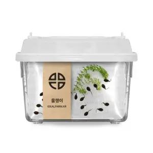 개구리 한살이 관찰용 토종 올챙이 관찰 키트 개구리한살이 올챙이기르기 자연관찰 초등과학 교과서준비물