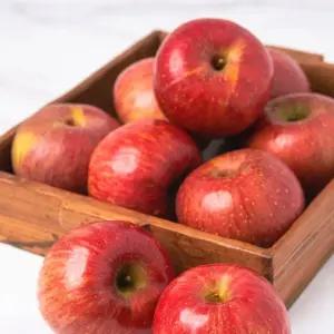 [G] 주스용 부사 사과 10kg 랜덤과