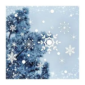 겨울눈꽃6 소형 유리창문 데코스티커 눈꽃스티커 눈결정체스티커