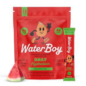 워터보이 데일리 하이드레이션 1570mg 전해질 파우더 패킷 설탕 없음 천연 글루텐 프리 제로 칼로리 15가지 음료 스틱 믹스워터멜론