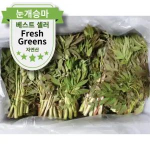 자연산 햇 눈개승마 1kg 2kg 제철 새순 봄나물 고기나물 산나물