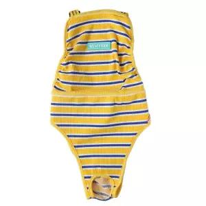 반려견 배변 속옷 대형견 반려동물 애견용품 기저귀 애견