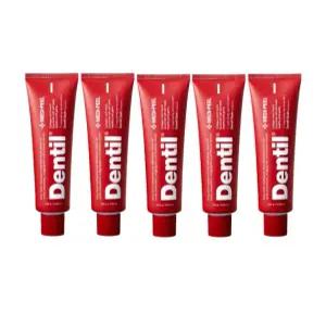 메디필 덴틸 잇몸치약 100g 5개