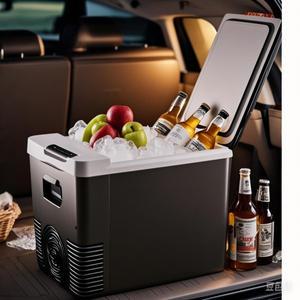 미니 냉장고 12V 220V 자동차 홈 듀얼 사용 냉동고 10L 야외 쿨러 및 따뜻한 전기 휴대용 아이스 박스