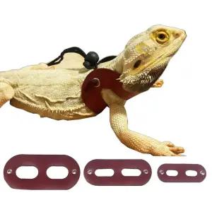 도마뱀 가죽 하네스 애완 파충류 날개 수염 동물 로프 견인