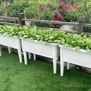 대형 조립식 텃밭 재배화분 테라스 상자 홈가드닝
