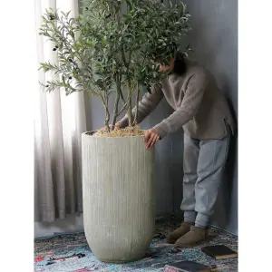 거실 대형 화분 인테리어 토분 분갈이 베란다 소형 오크