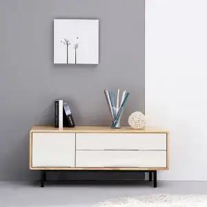 사야 2단 1200거실장 TV다이 거실장 원목거실장 티비다이 TV다이 TV스탠드 거실장식장